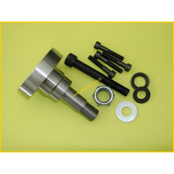 Ø25-Rear adjustable spindle - Group A - Saxo/CITROËN