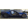 Z06 - C6 - CORVETTE - CHEVROLET - Safety Cage