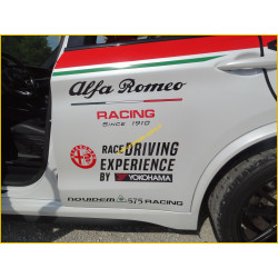 4 point rear roll bar - Stelvio - ALFA ROMEO